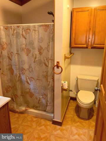 251 RIFFEY MOUNTAIN LN, Mathias, WV 26812