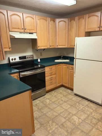 251 RIFFEY MOUNTAIN LN, Mathias, WV 26812