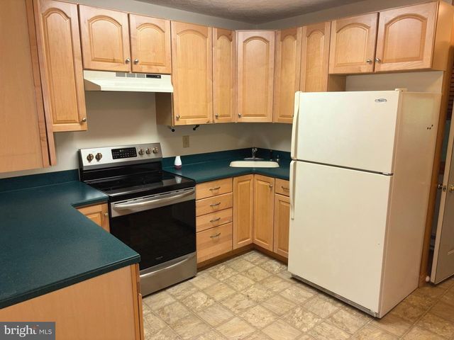 251 RIFFEY MOUNTAIN LN, Mathias, WV 26812