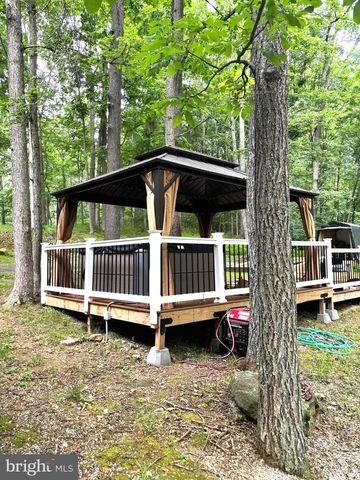 251 RIFFEY MOUNTAIN LN, Mathias, WV 26812