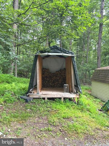 251 RIFFEY MOUNTAIN LN, Mathias, WV 26812