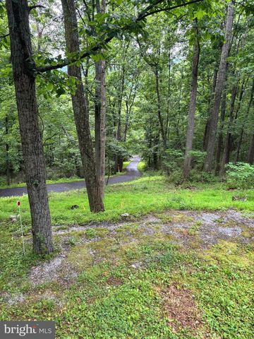 251 RIFFEY MOUNTAIN LN, Mathias, WV 26812