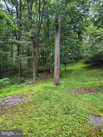 251 RIFFEY MOUNTAIN LN, Mathias, WV 26812