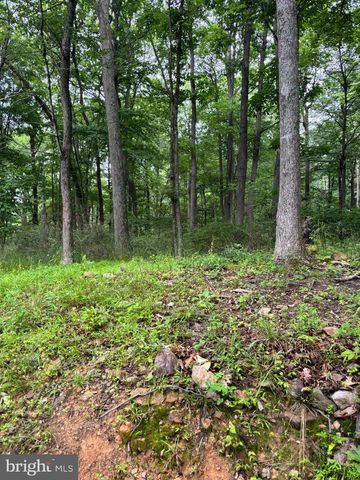 251 RIFFEY MOUNTAIN LN, Mathias, WV 26812