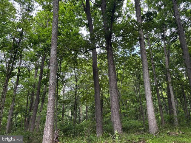 251 RIFFEY MOUNTAIN LN, Mathias, WV 26812