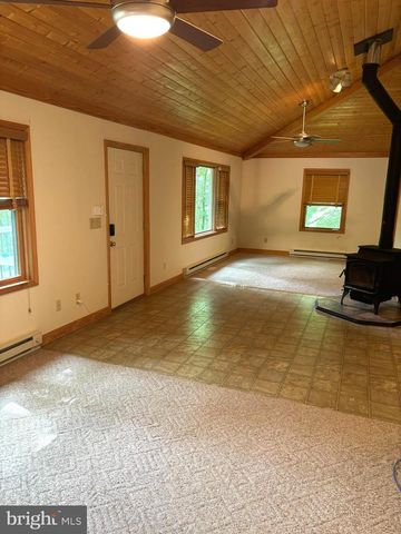 251 RIFFEY MOUNTAIN LN, Mathias, WV 26812