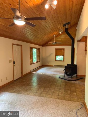 251 RIFFEY MOUNTAIN LN, Mathias, WV 26812
