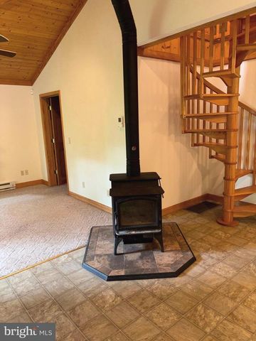 251 RIFFEY MOUNTAIN LN, Mathias, WV 26812