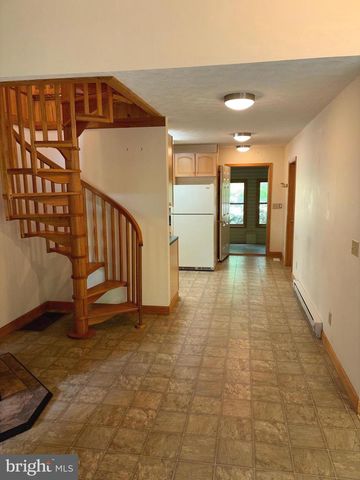 251 RIFFEY MOUNTAIN LN, Mathias, WV 26812