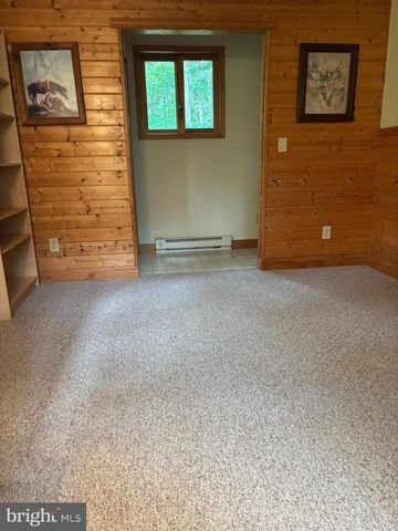 251 RIFFEY MOUNTAIN LN, Mathias, WV 26812