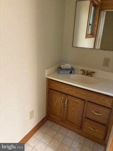 251 RIFFEY MOUNTAIN LN, Mathias, WV 26812