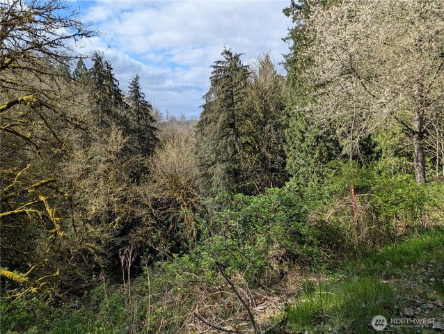 154 Valley View Drive, Mossyrock, WA 98564