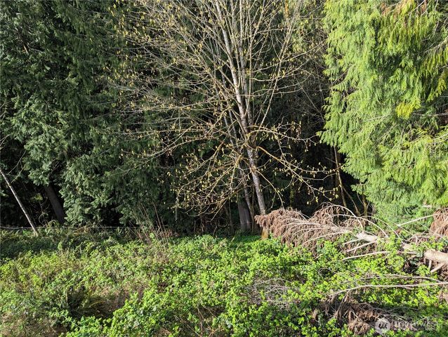 154 Valley View Drive, Mossyrock, WA 98564