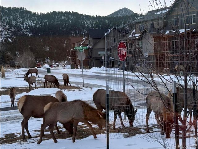 1728 Continental Peaks Circle, Estes Park, CO 80517