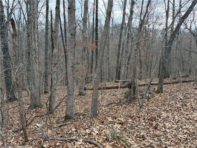 Celtic Drive, Bella Vista, AR 72714