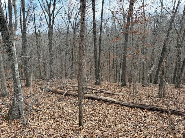 Celtic Drive, Bella Vista, AR 72714