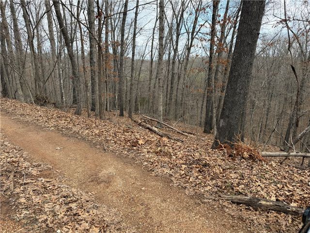 Celtic Drive, Bella Vista, AR 72714