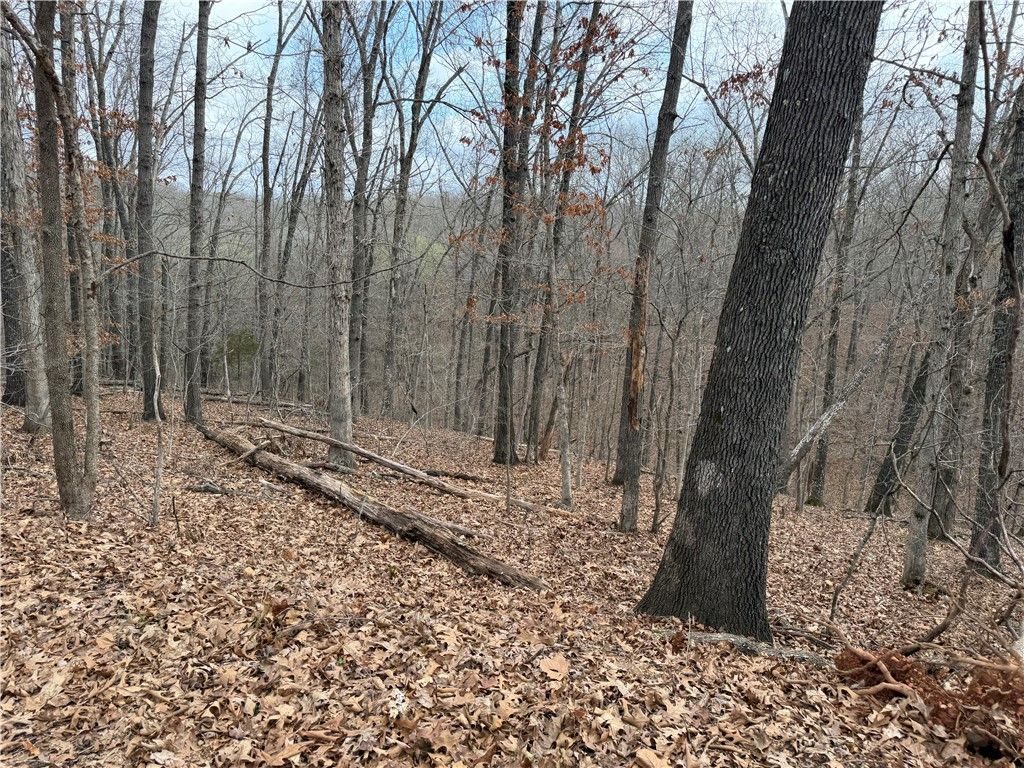 Celtic Drive, Bella Vista, AR 72714