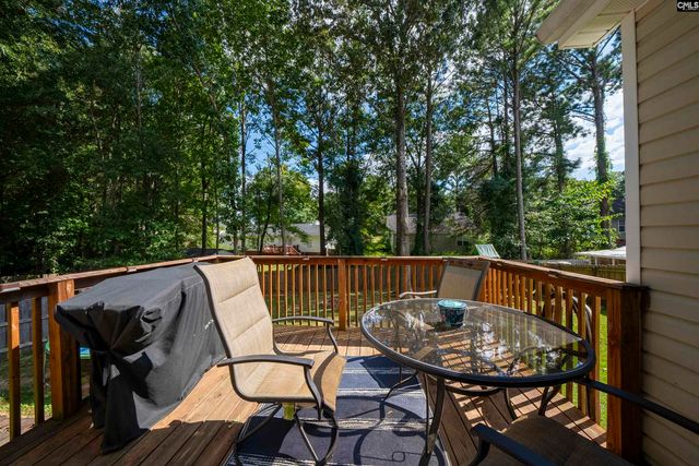 153 Firebridge Drive, Chapin, SC 29036