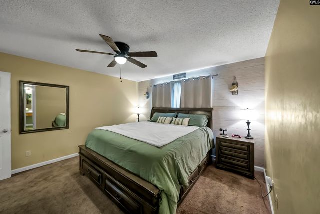 153 Firebridge Drive, Chapin, SC 29036