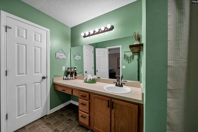 153 Firebridge Drive, Chapin, SC 29036