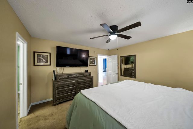 153 Firebridge Drive, Chapin, SC 29036