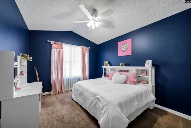 153 Firebridge Drive, Chapin, SC 29036