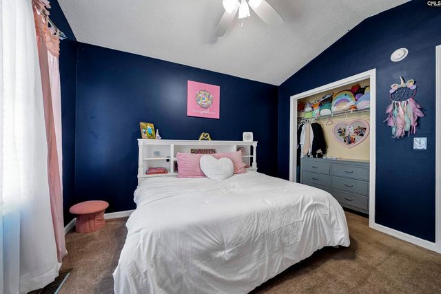 153 Firebridge Drive, Chapin, SC 29036