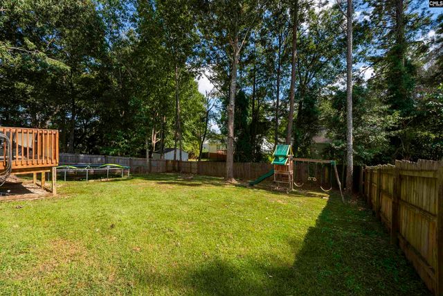 153 Firebridge Drive, Chapin, SC 29036