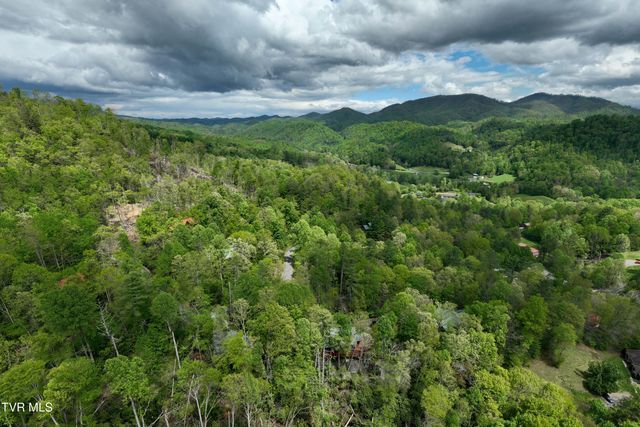 319 Ivy Wood Lane, Mountain City, TN 37683