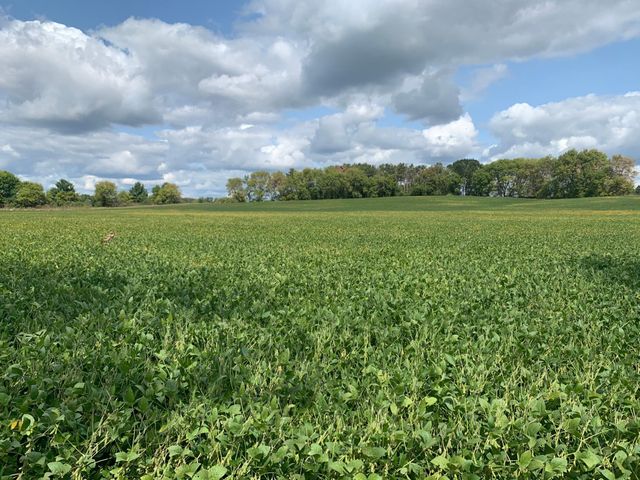 xxx Keystone Avenue N, Stillwater, MN 55038