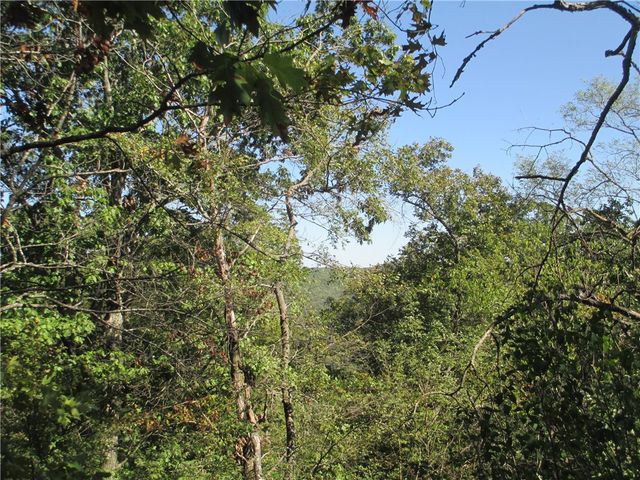 166 Holiday Island Drive, Holiday Island, AR 72631