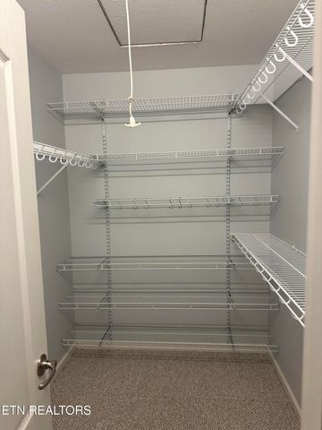 156 Stonefield Drive, Harrogate, TN 37752