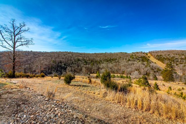 979 Marsh Mountain Rd., Pangburn, AR 72121