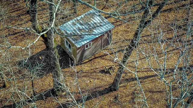 979 Marsh Mountain Rd., Pangburn, AR 72121