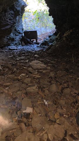 979 Marsh Mountain Rd., Pangburn, AR 72121