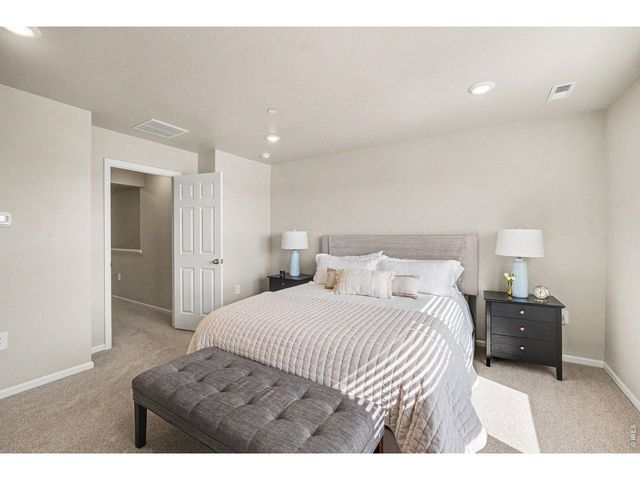 1594 Riverplace Dr 4, Windsor, CO 80550