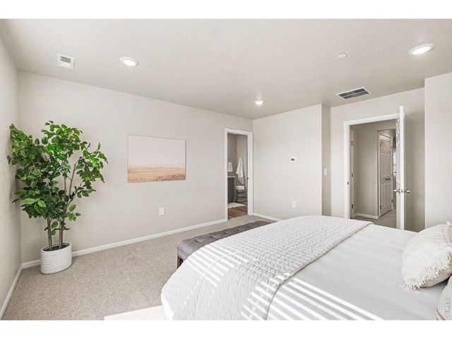 1594 Riverplace Dr 4, Windsor, CO 80550