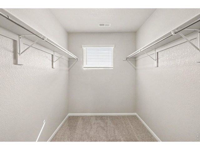 1594 Riverplace Dr 4, Windsor, CO 80550