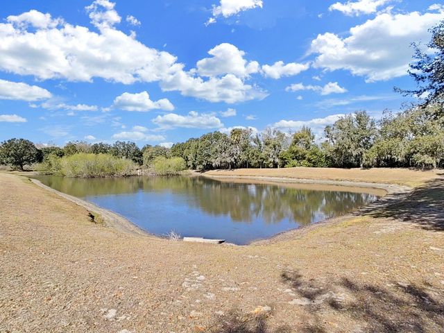 1606 MARSH WOOD DRIVE, Seffner, FL 33584