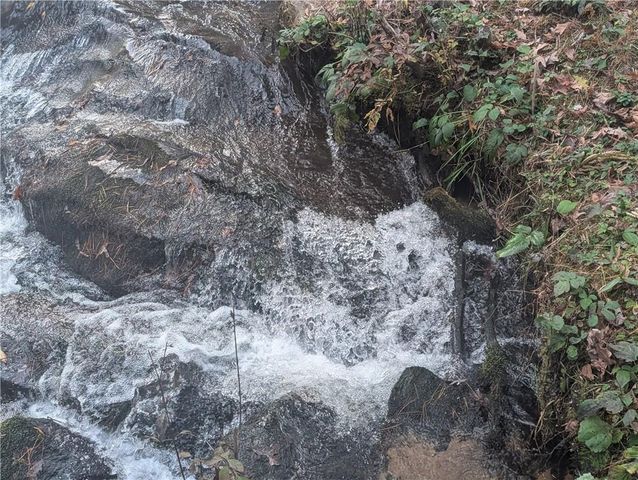 1016 Deer Wood Trail, Cleveland, GA 30528