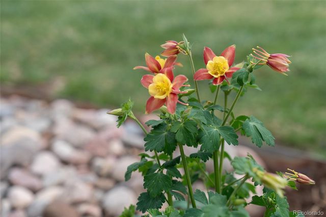 389 W Caley Drive, Littleton, CO 80120