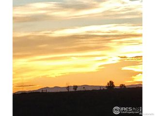 39 Lot 1 Road, Pierce, CO 80650