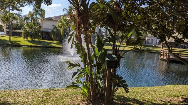 46 EMERALD BAY DRIVE, Oldsmar, FL 34677