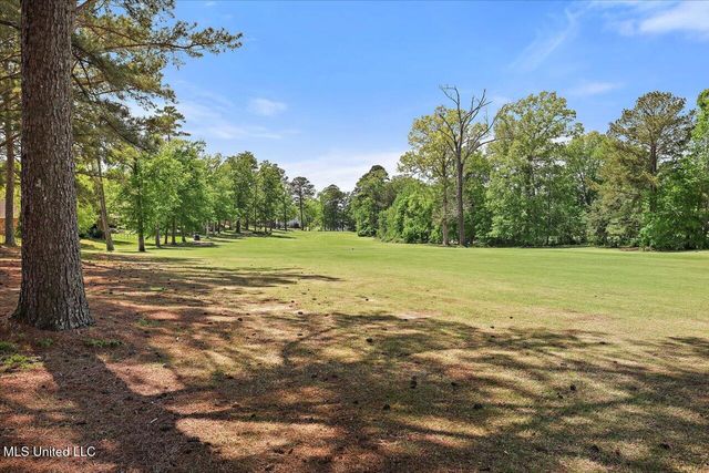 168 Woodlands Glen Cir, Brandon, MS 39047