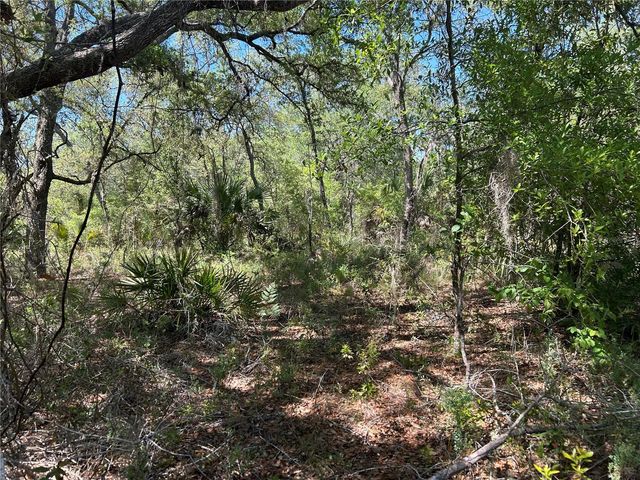 TBD SE 62ND, Morriston, FL 32668