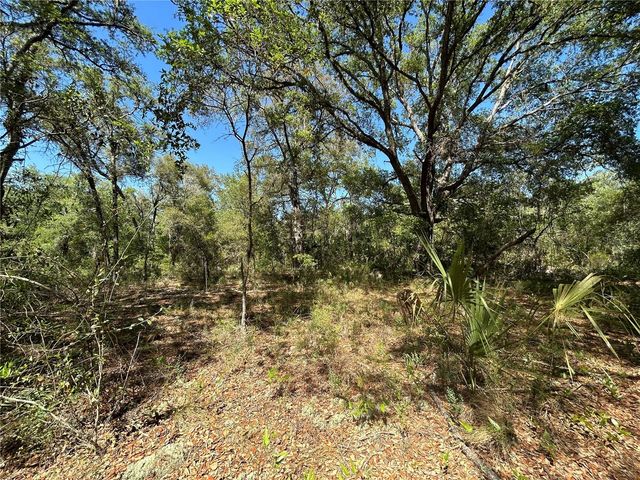 TBD SE 62ND, Morriston, FL 32668