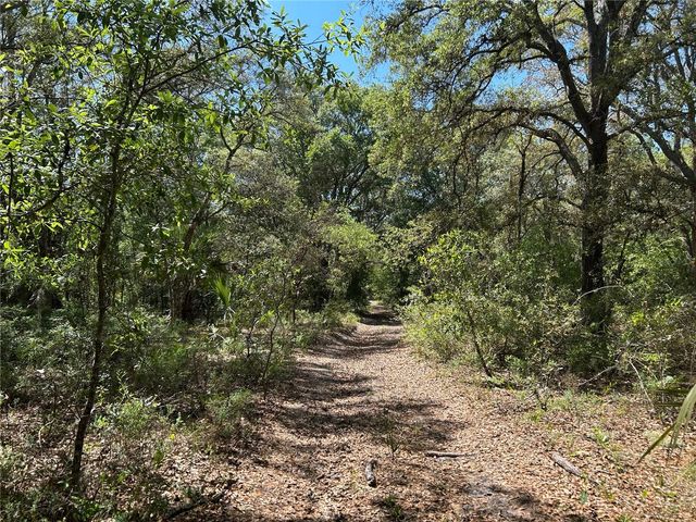 TBD SE 62ND, Morriston, FL 32668