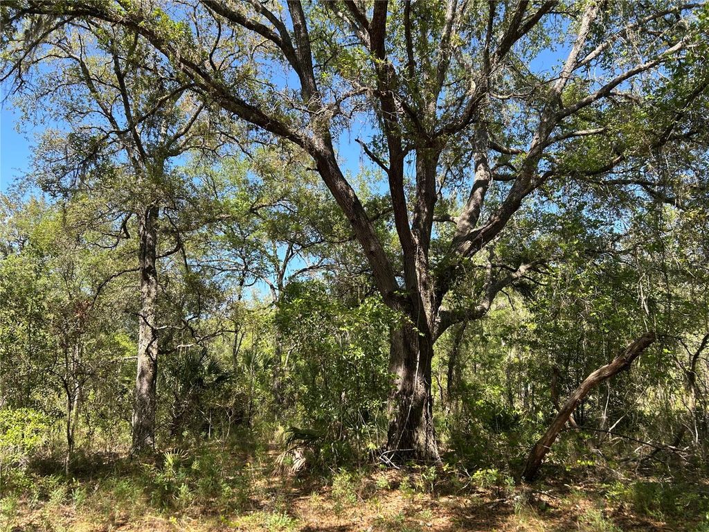 TBD SE 62ND, Morriston, FL 32668