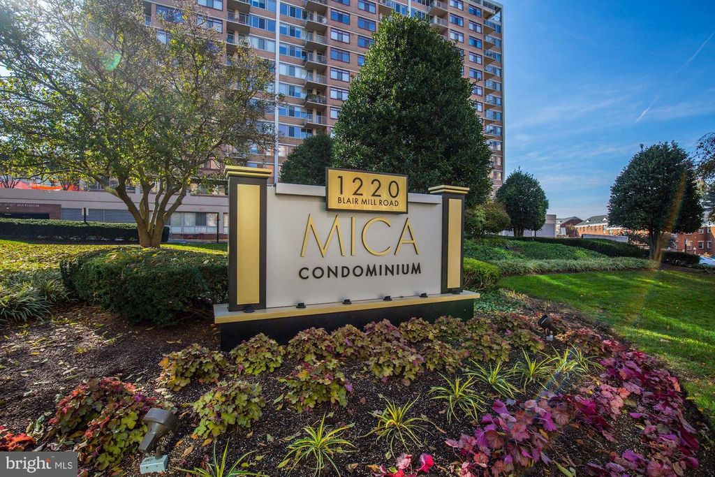 1220 BLAIR MILL RD #605, Silver Spring, MD 20910
